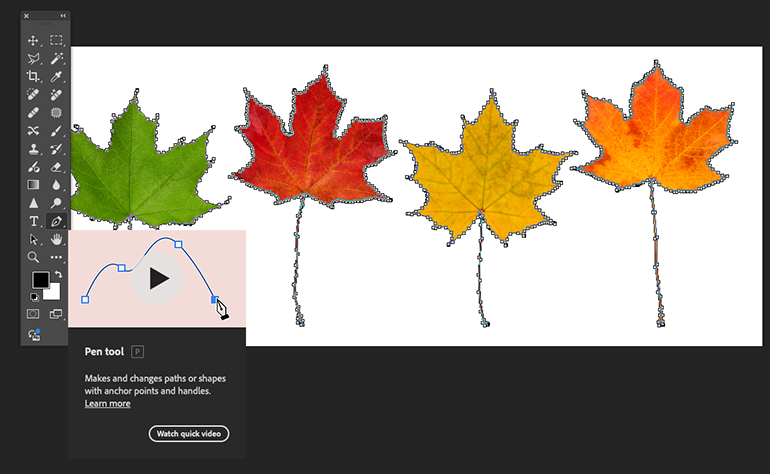 Clipping path in Photoshop – precise product background removal.